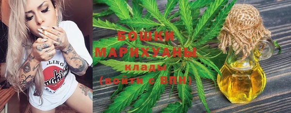 ГАЛЛЮЦИНОГЕННЫЕ ГРИБЫ Козельск