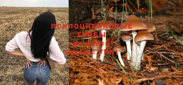 таблы Козловка